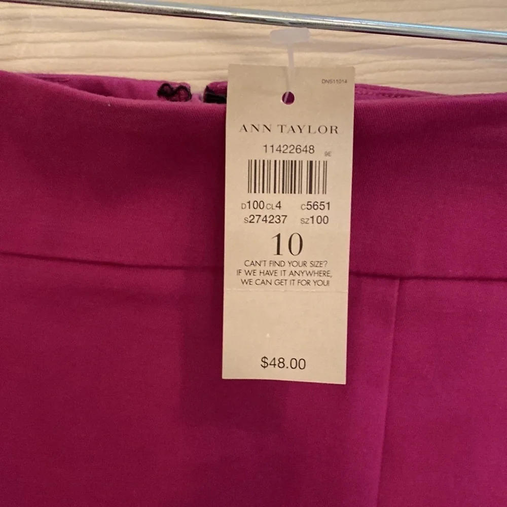 Ann Taylor Madison skirt size 10​